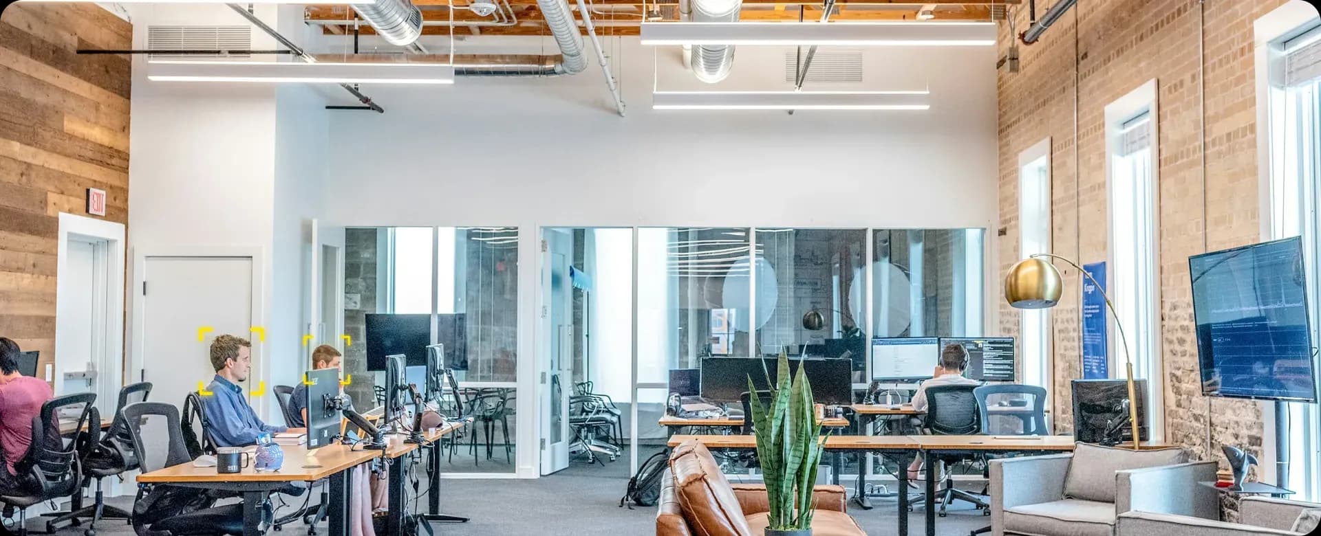 Live Workspace Insights