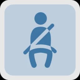 Passenger Safety Monitoring