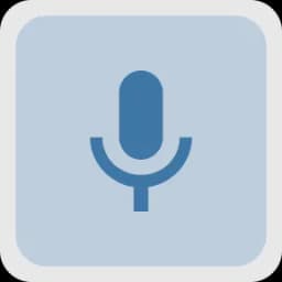 Voice-Based Queries or Commands