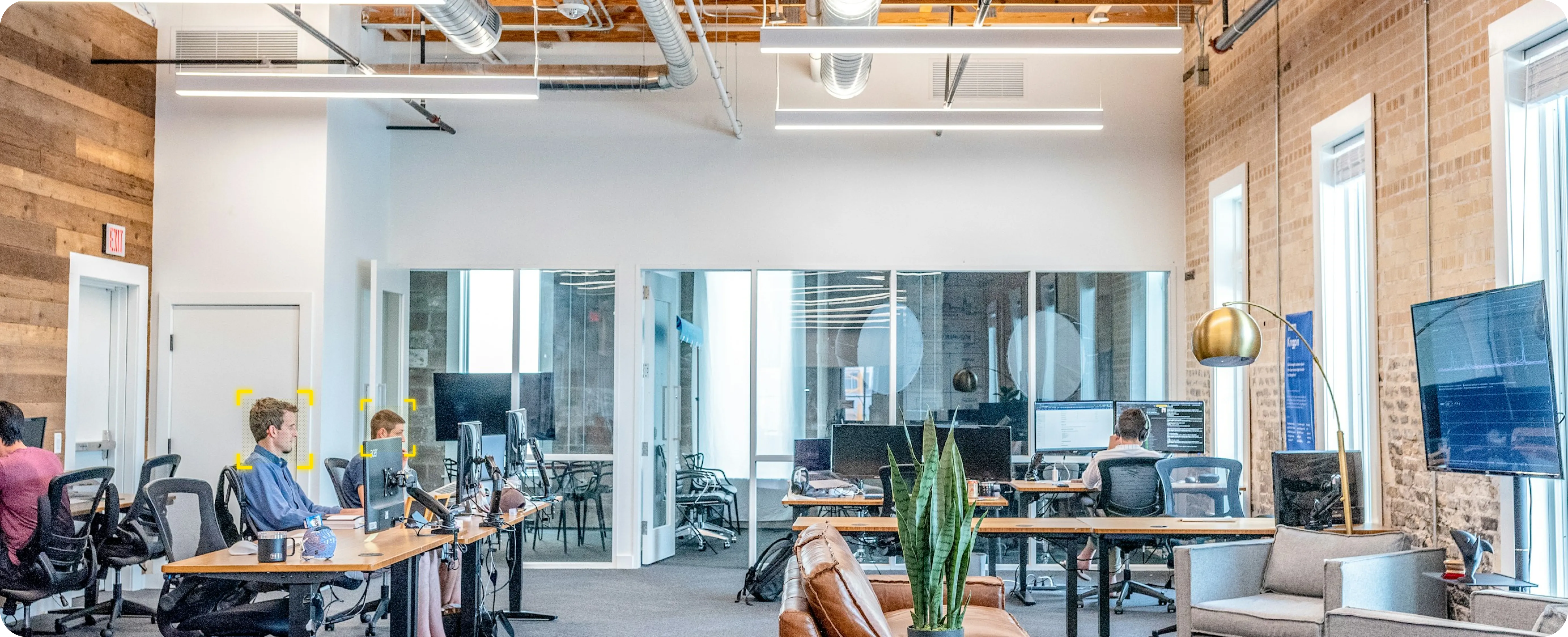 Live Workspace Insights