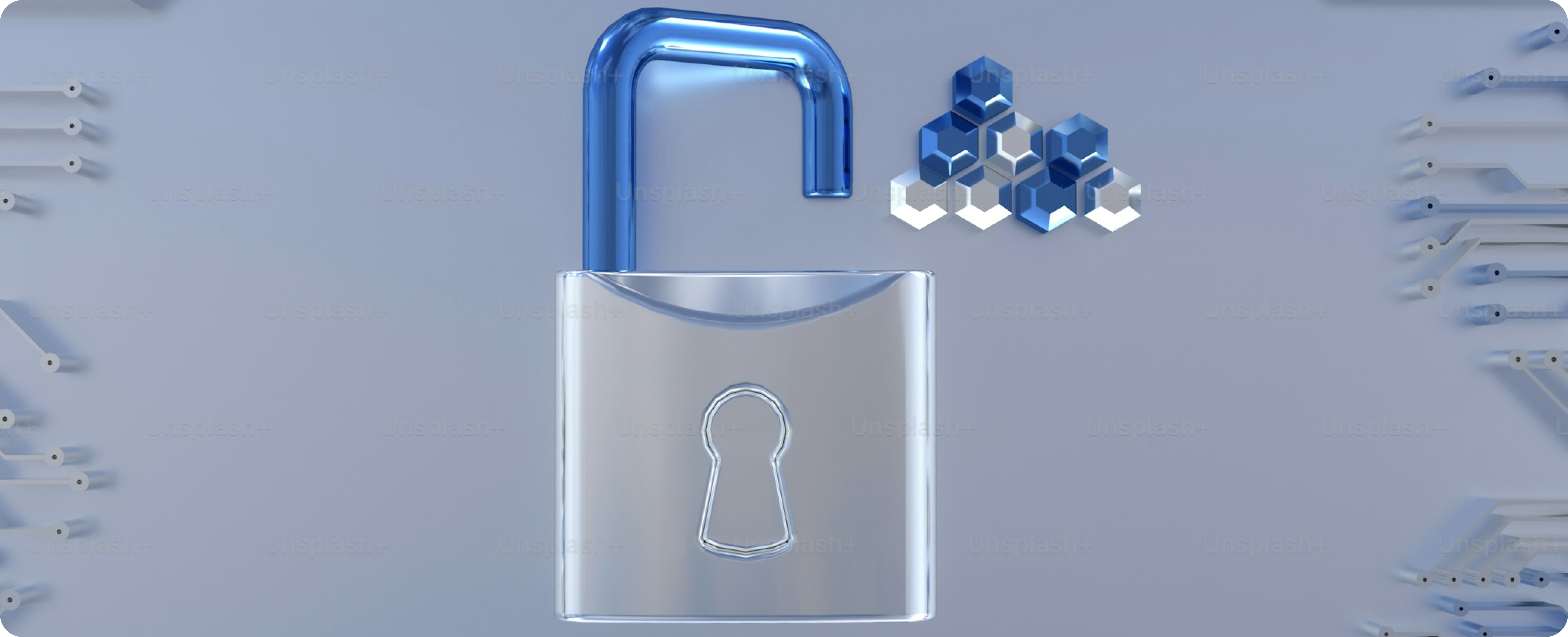 Ensuring Data Security