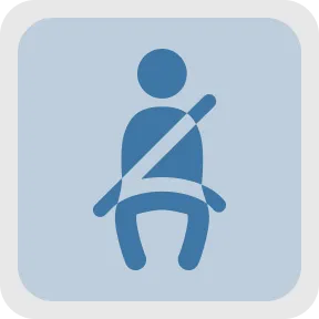 Passenger Safety Monitoring