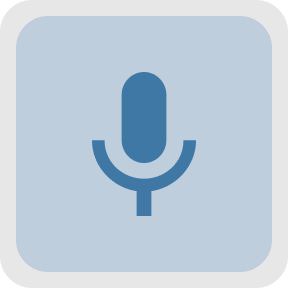 Voice-Based Queries or Commands